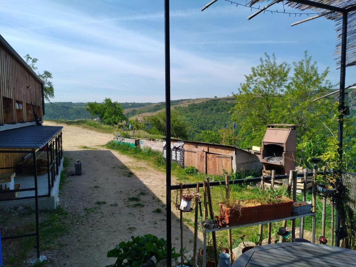 Gites De Revirand Sarras Exteriör bild