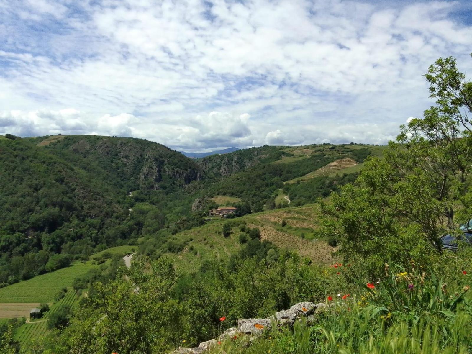 Gites De Revirand Sarras Exteriör bild