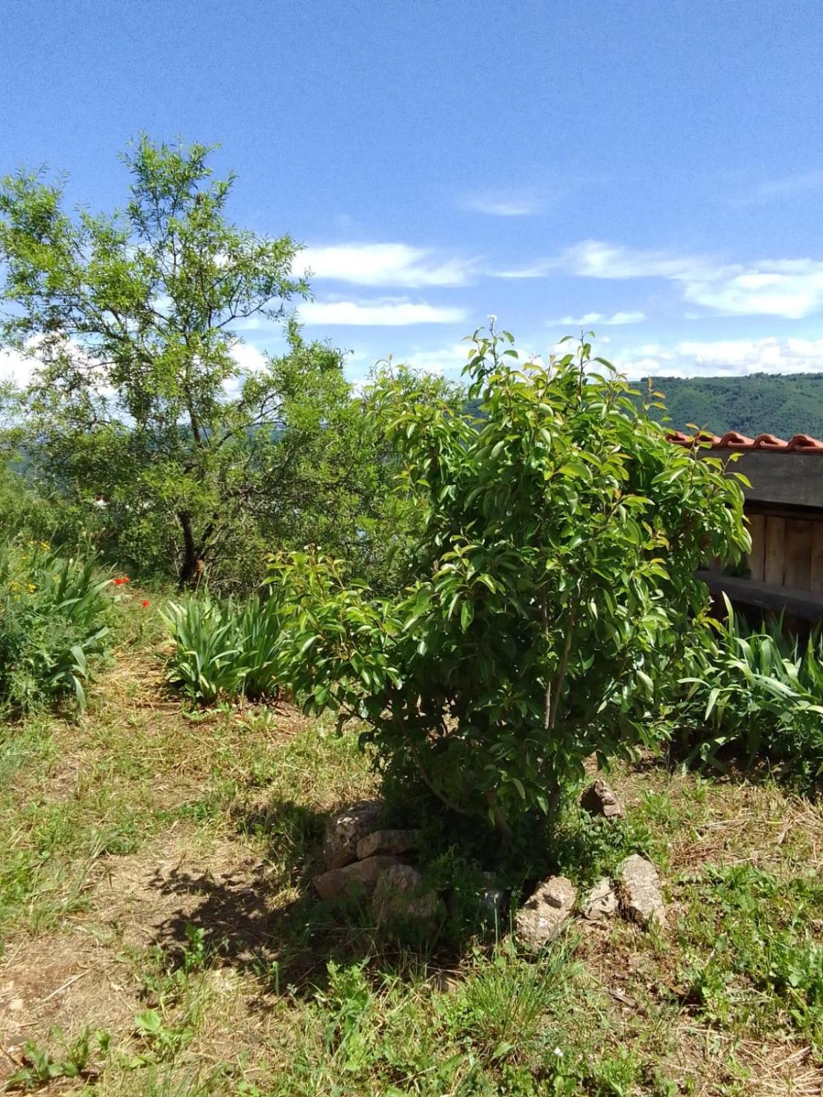Gites De Revirand Sarras Exteriör bild