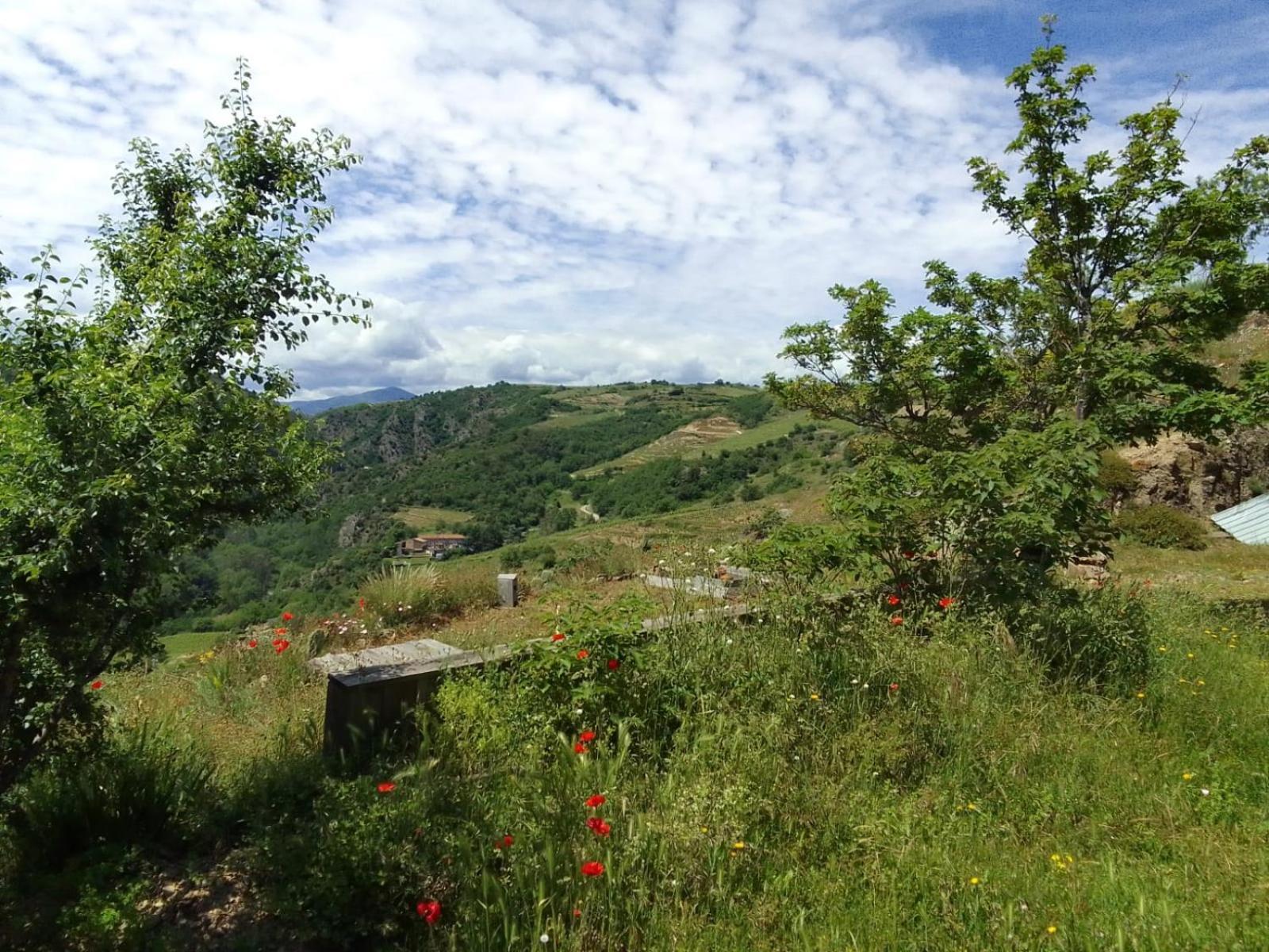 Gites De Revirand Sarras Exteriör bild